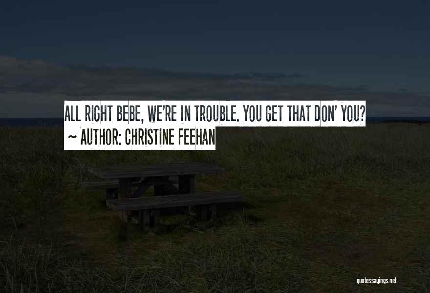 Christine Feehan Quotes 271908