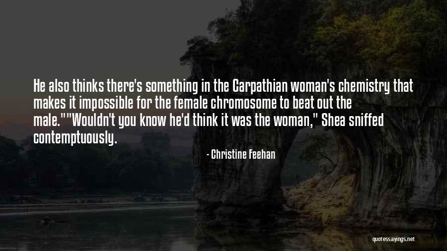 Christine Feehan Quotes 504114