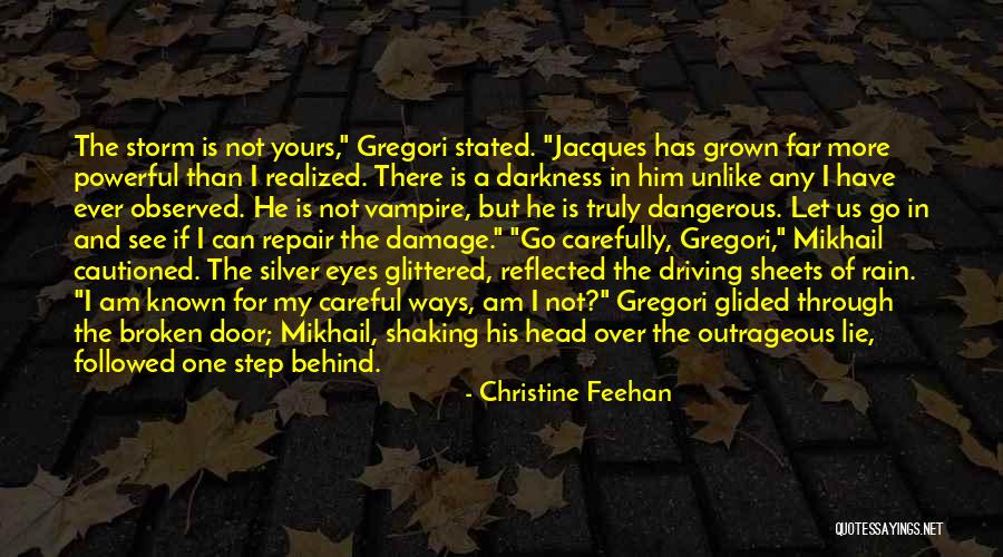 Christine Feehan Quotes 741273