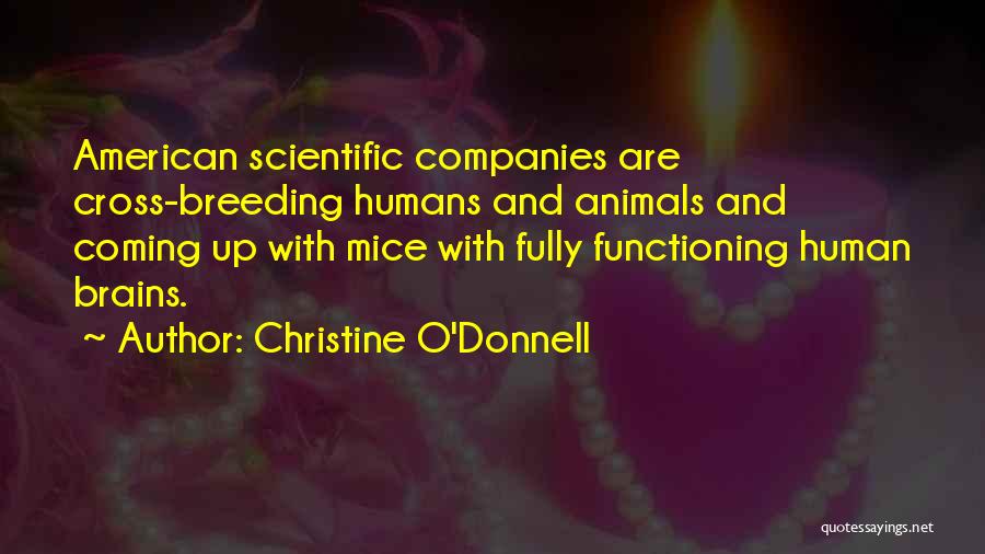Christine O'Donnell Quotes 933118