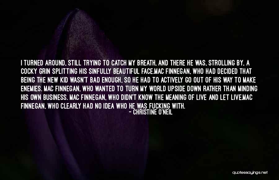 Christine O'Neil Quotes 1510753 Christine O'Neil Quotes 1510753