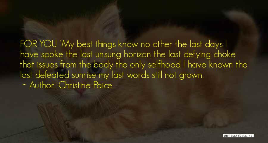 Christine Paice Quotes 1052313