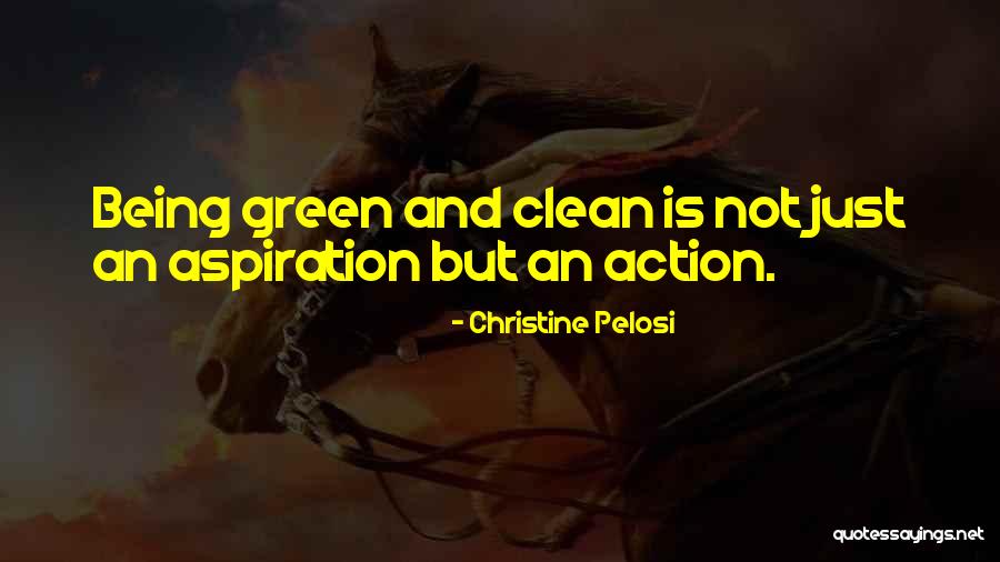 Christine Pelosi Quotes 1214700
