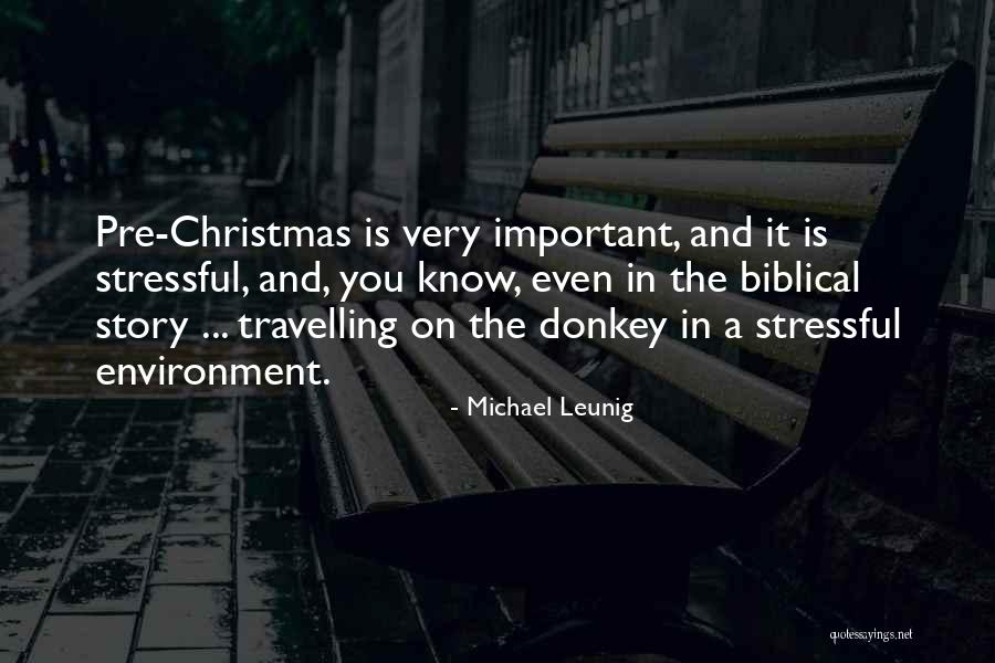 Christmas And Bible Quotes By Michael Leunig Christmas And Bible Quotes By Michael Leunig