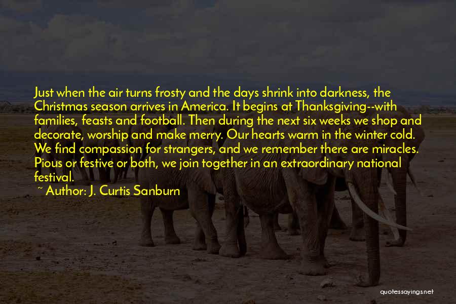 Christmas And Families Quotes By J. Curtis Sanburn