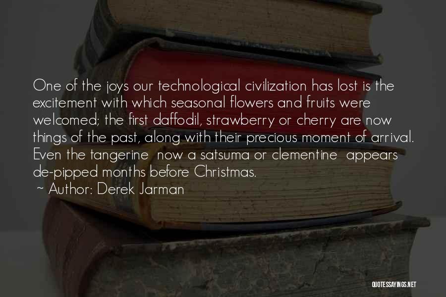 Christmas Arrival Quotes By Derek Jarman