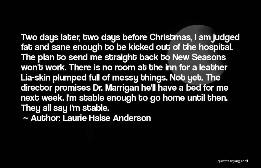 Christmas At Home Quotes By Laurie Halse Anderson