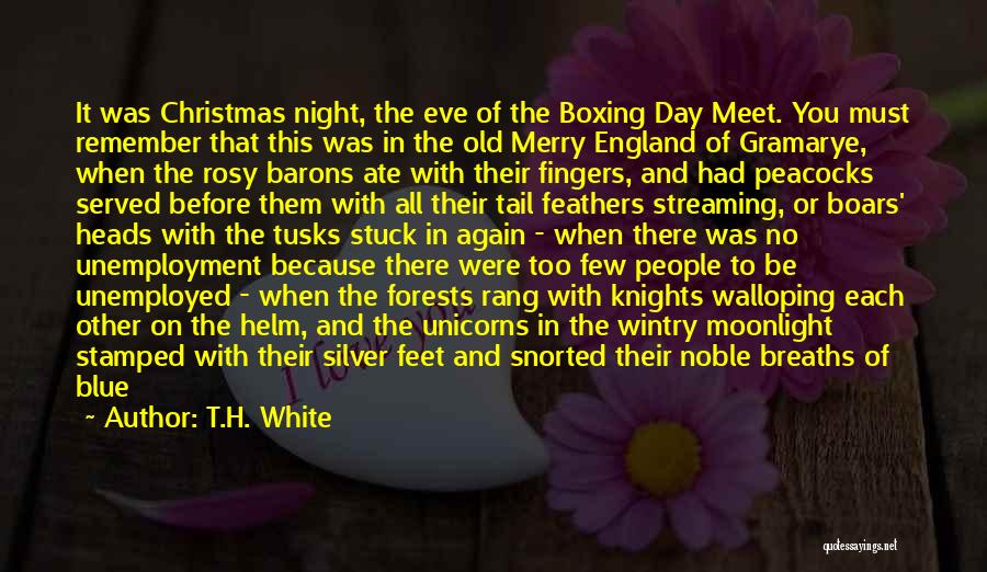 Christmas Boxing Day Quotes By T.H. White