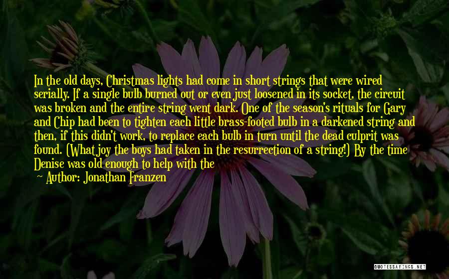 Christmas Bulb Quotes By Jonathan Franzen Christmas Bulb Quotes By Jonathan Franzen