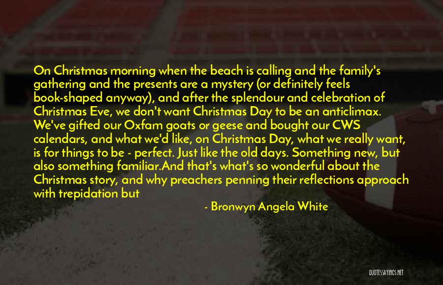 Christmas Celebration Quotes By Bronwyn Angela White