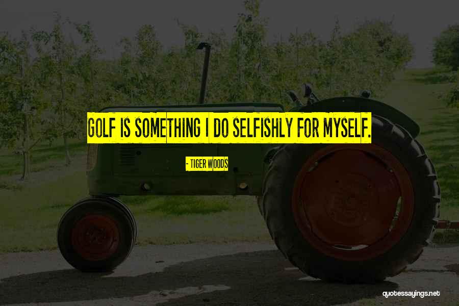 Christmas Hat Quotes By Tiger Woods Christmas Hat Quotes By Tiger Woods