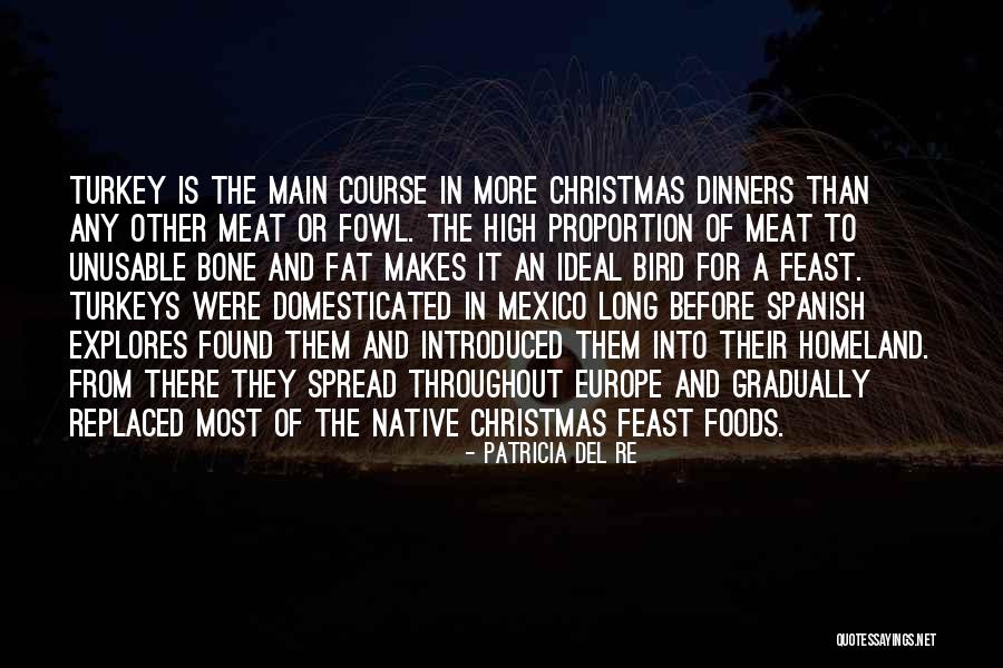 Christmas In Europe Quotes By Patricia Del Re Christmas In Europe Quotes By Patricia Del Re