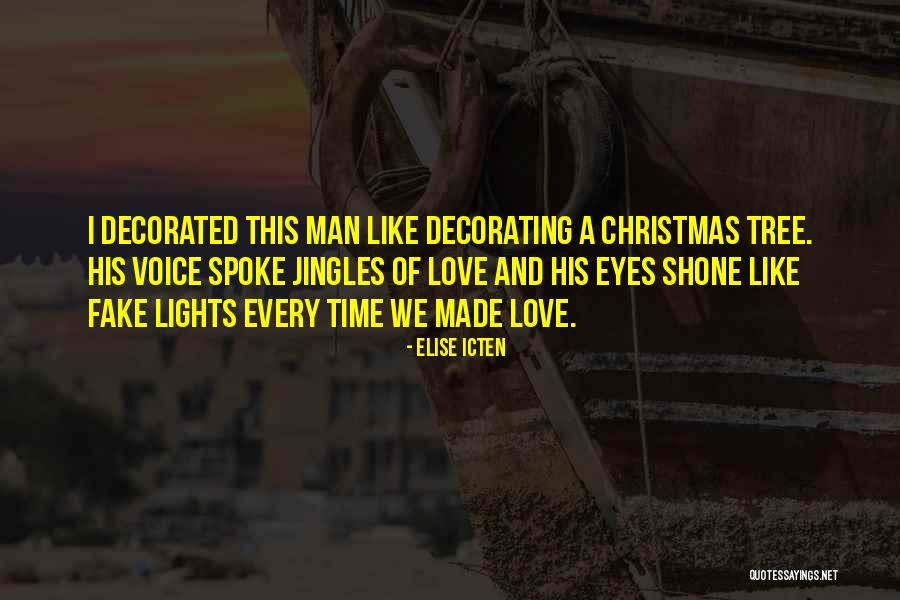 Christmas Lights Quotes By Elise Icten