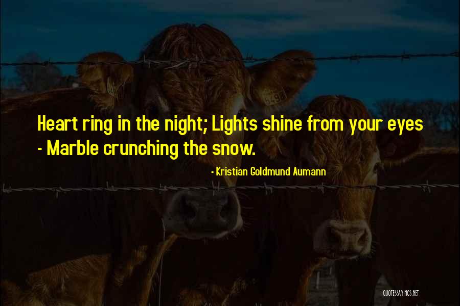 Christmas Lights Quotes By Kristian Goldmund Aumann