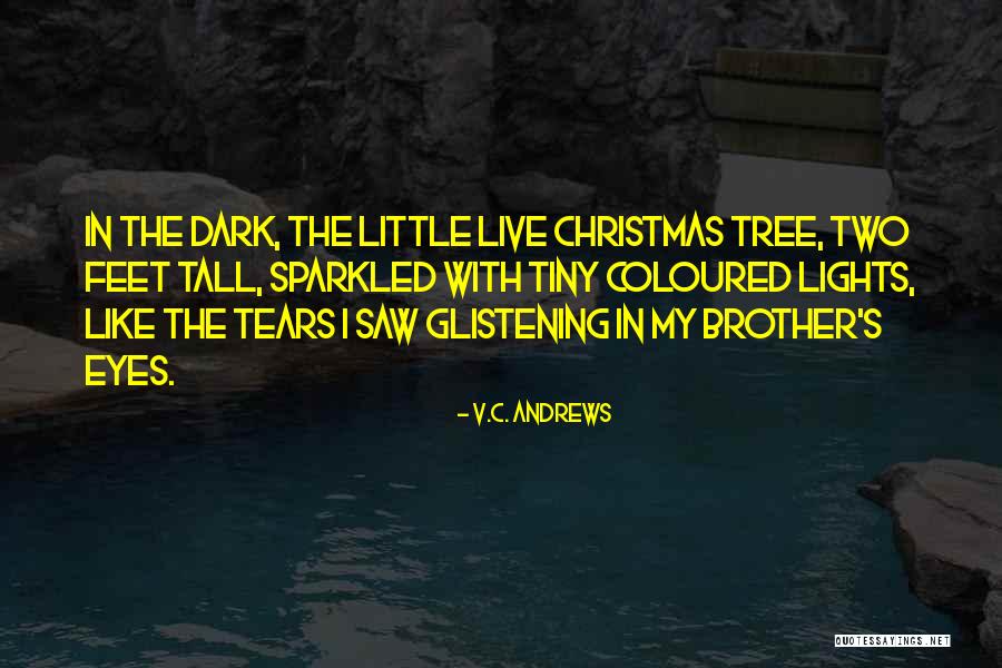 Christmas Lights Quotes By V.C. Andrews