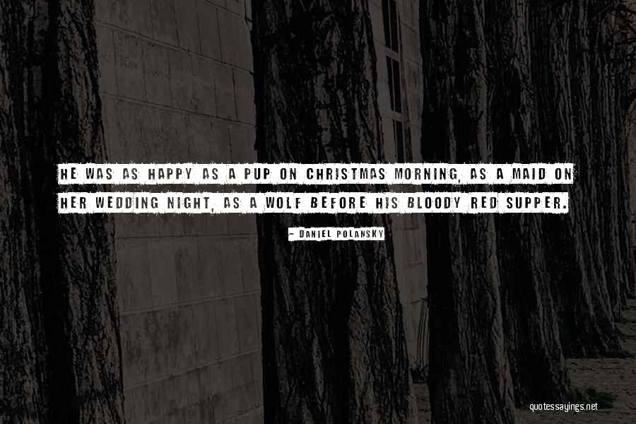 Christmas Morning Quotes By Daniel Polansky