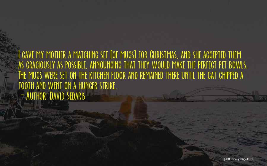 Christmas Mugs Quotes By David Sedaris