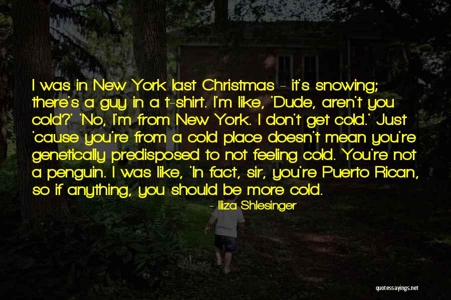 Christmas Not Quotes By Iliza Shlesinger Christmas Not Quotes By Iliza Shlesinger