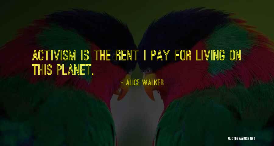 Christmas Orthodontic Quotes By Alice Walker Christmas Orthodontic Quotes By Alice Walker