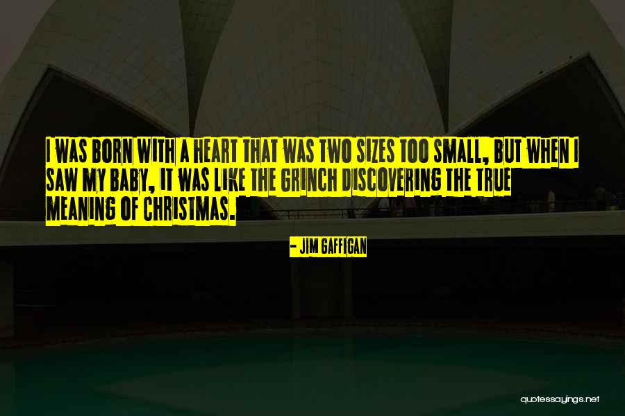 Christmas With Baby Quotes By Jim Gaffigan