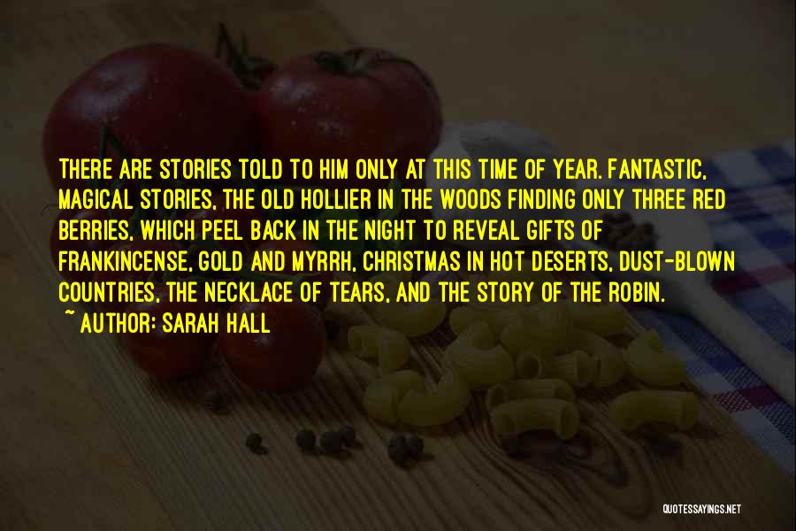 Christmas Without Gifts Quotes By Sarah Hall