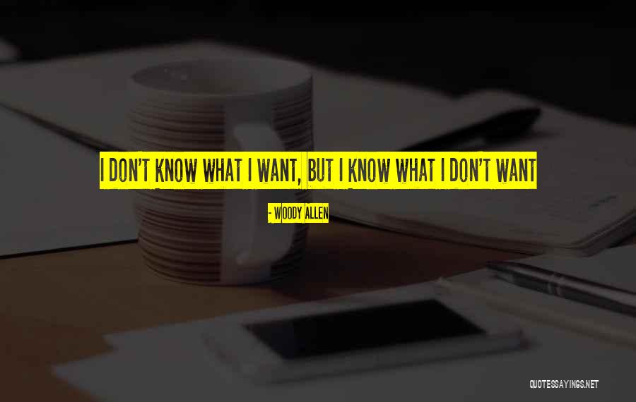 Christoforo Borri Quotes By Woody Allen Christoforo Borri Quotes By Woody Allen