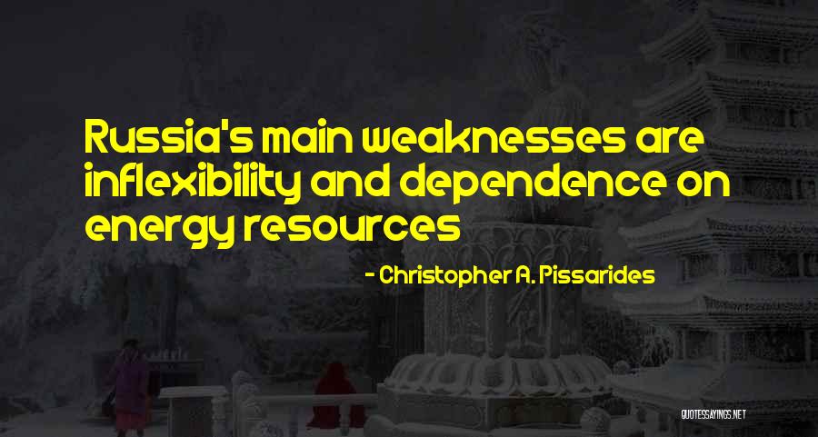 Christopher A. Pissarides Quotes 917482