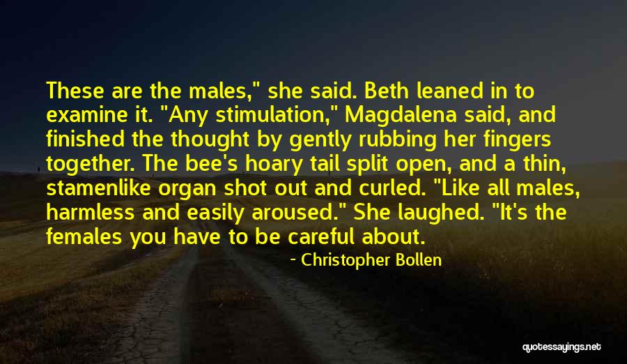 Christopher Bollen Quotes 825379