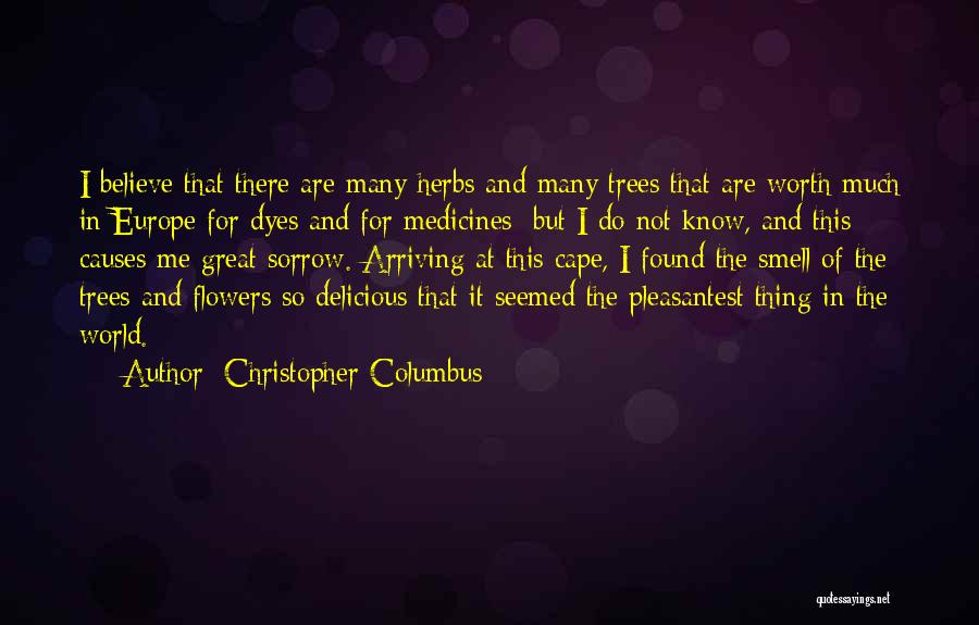 Christopher Columbus Quotes 1018066