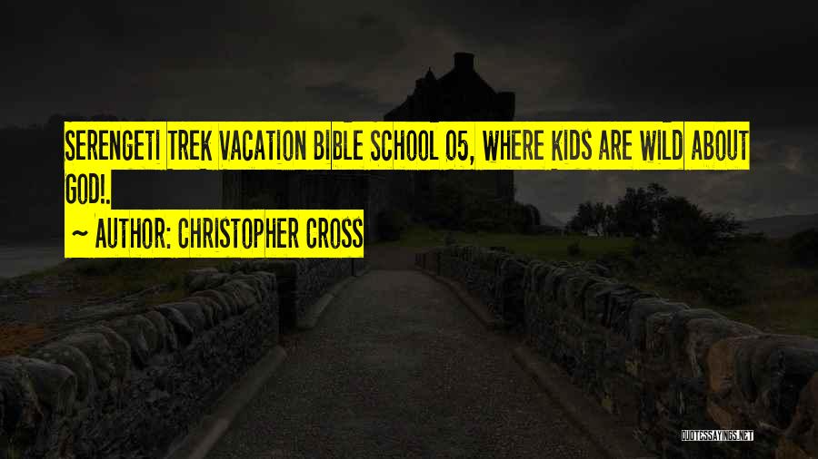 Christopher Cross Quotes 1435023