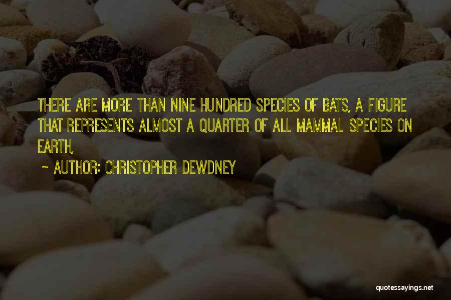 Christopher Dewdney Quotes 1145107