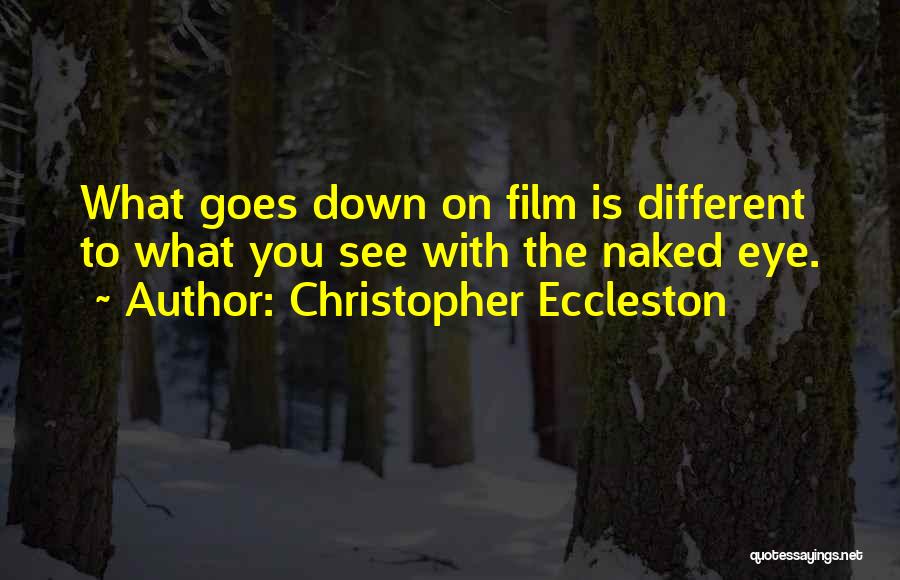 Christopher Eccleston Quotes 1183019