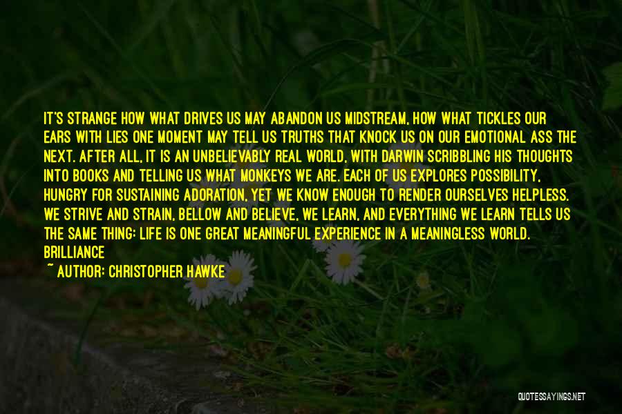 Christopher Hawke Quotes 1233518