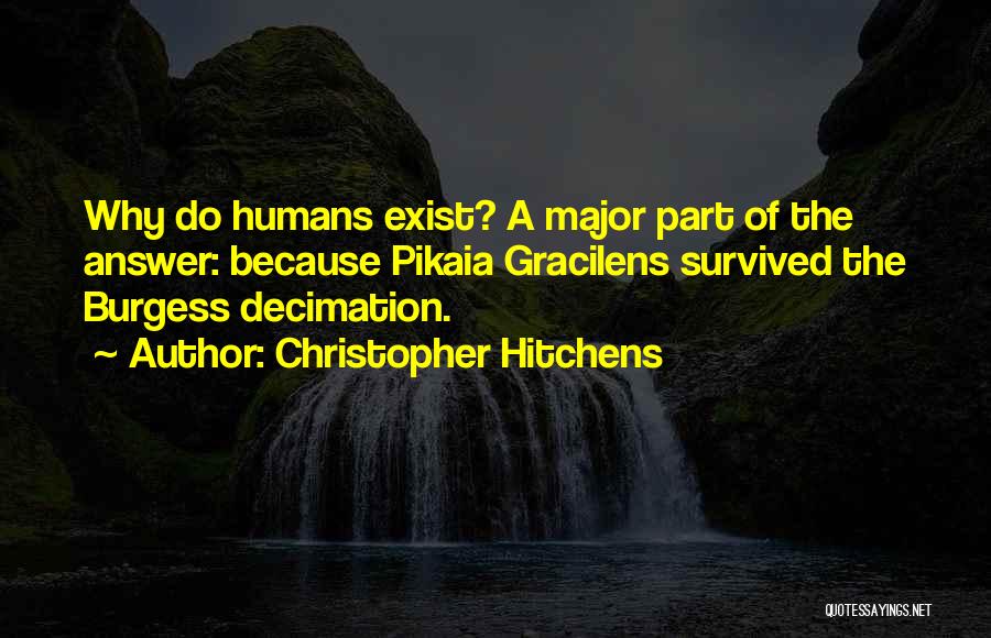 Christopher Hitchens Quotes 2196854