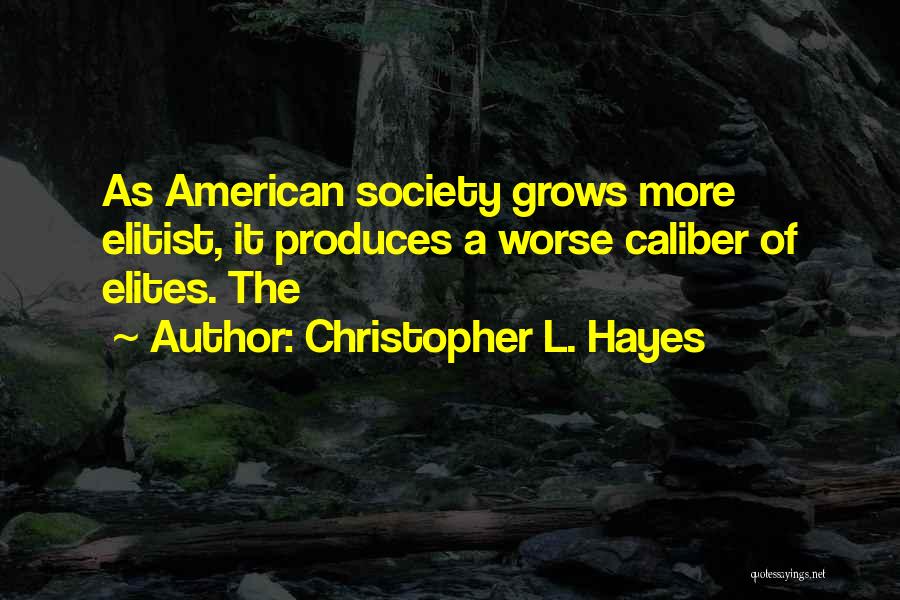 Christopher L. Hayes Quotes 1546209