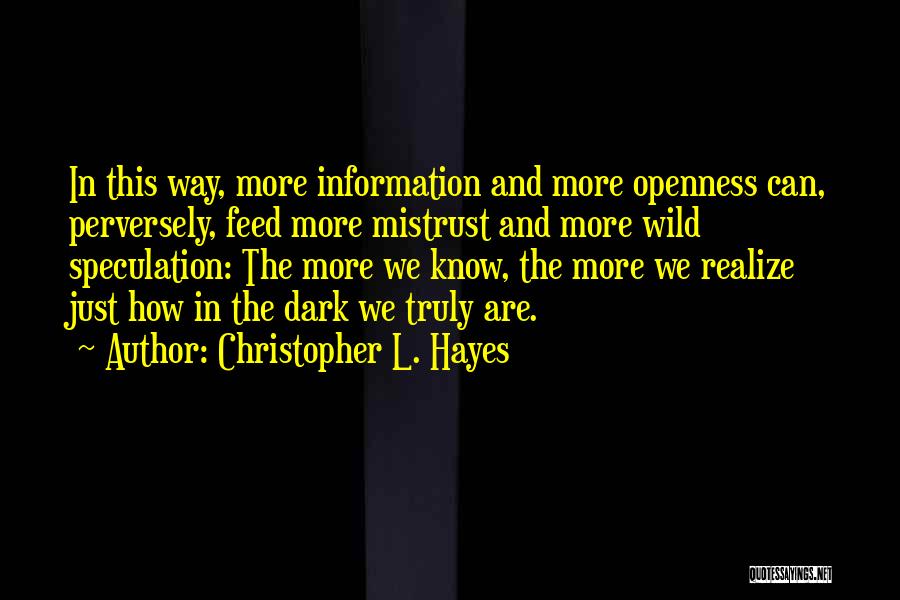 Christopher L. Hayes Quotes 2201639