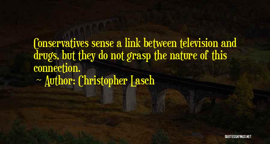 Christopher Lasch Quotes 1248082