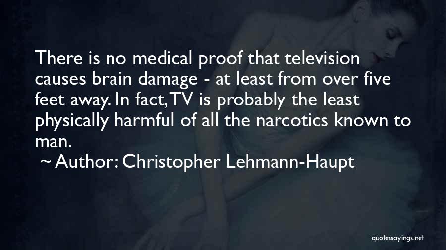 Christopher Lehmann-Haupt Quotes 1576946