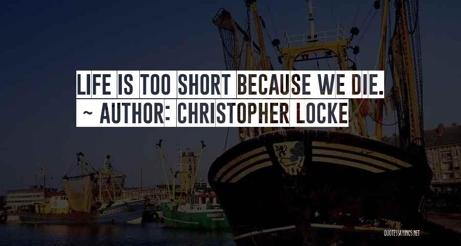Christopher Locke Quotes 1638076