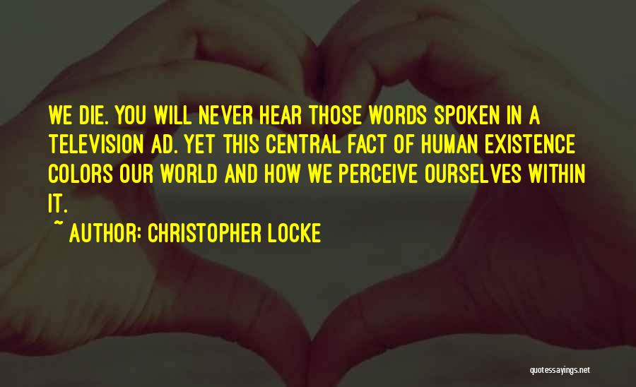 Christopher Locke Quotes 1865029