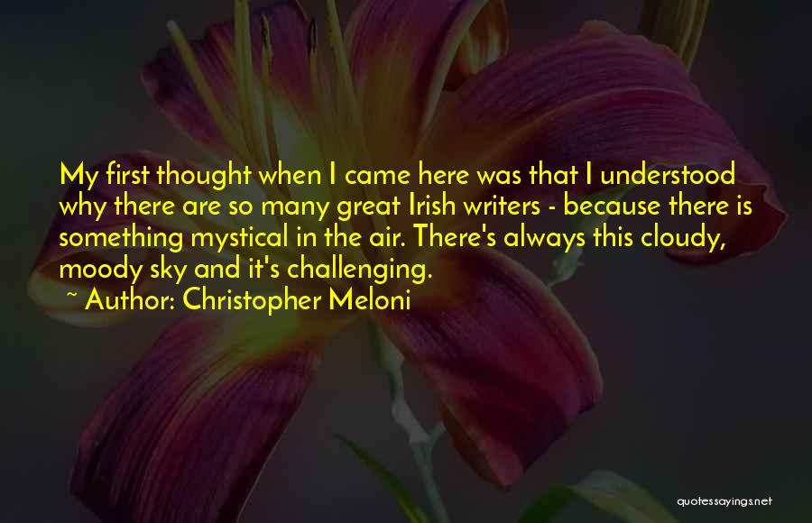 Christopher Meloni Quotes 1192391
