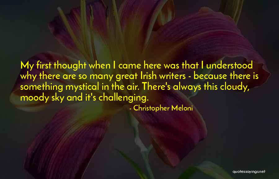 Christopher Meloni Quotes 1192391