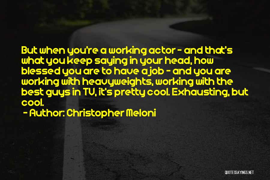 Christopher Meloni Quotes 1789693