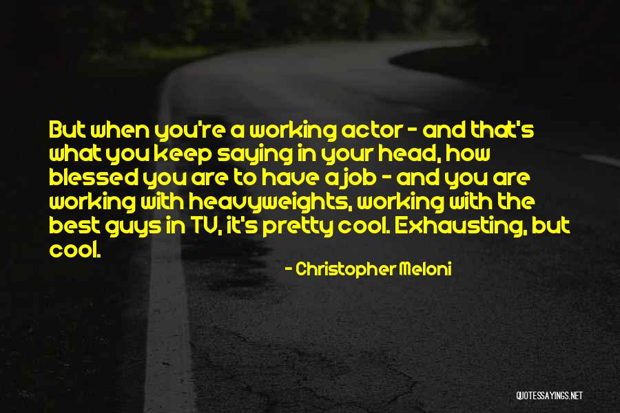 Christopher Meloni Quotes 1789693