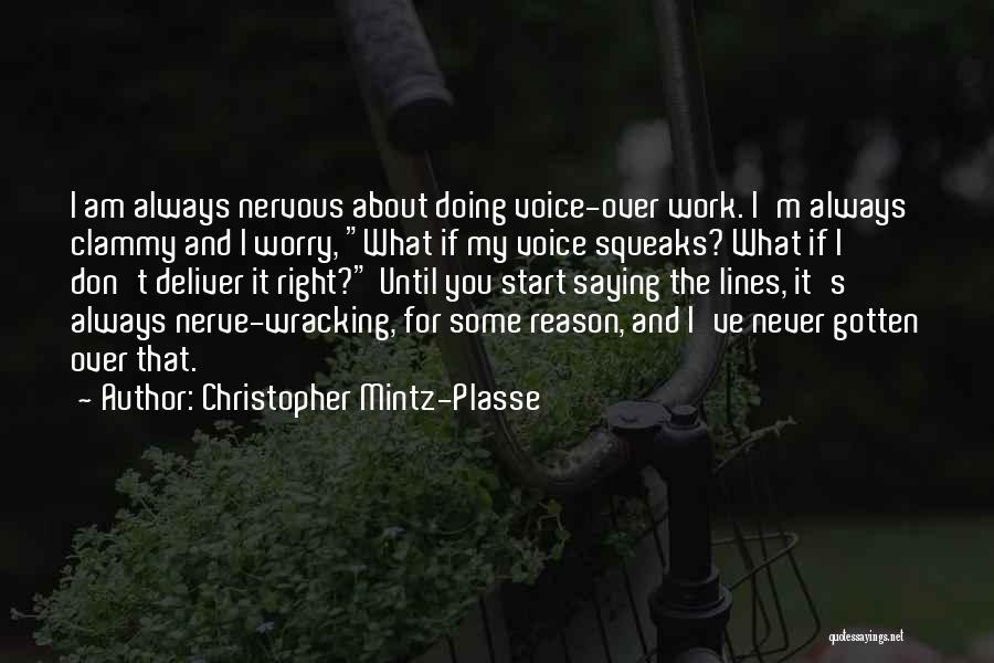 Christopher Mintz Quotes By Christopher Mintz-Plasse