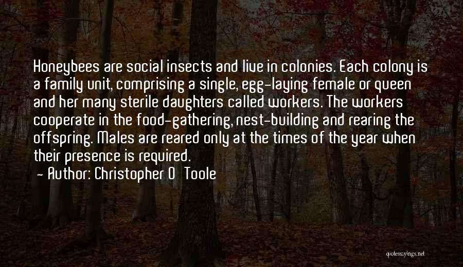 Christopher O'Toole Quotes 646221