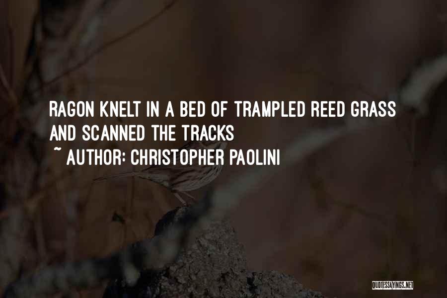 Christopher Paolini Quotes 754276