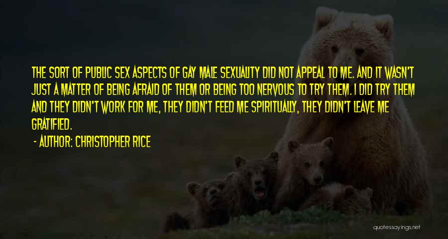 Christopher Rice Quotes 987321