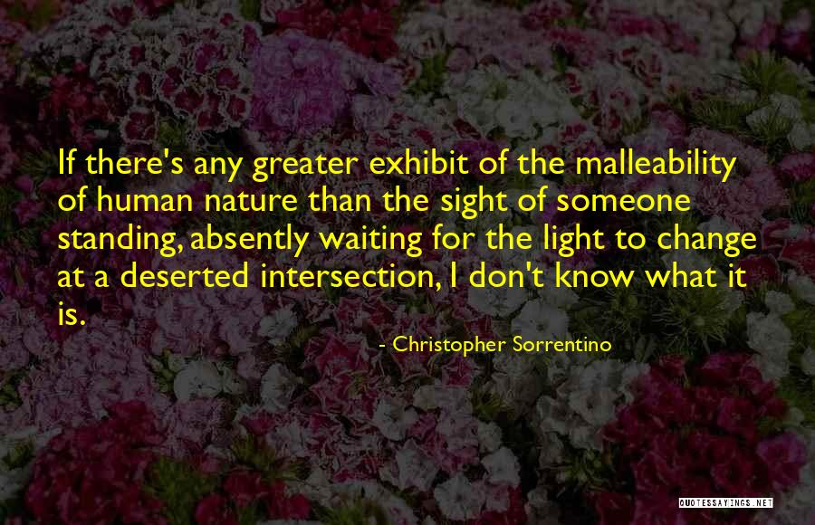 Christopher Sorrentino Quotes 2012294