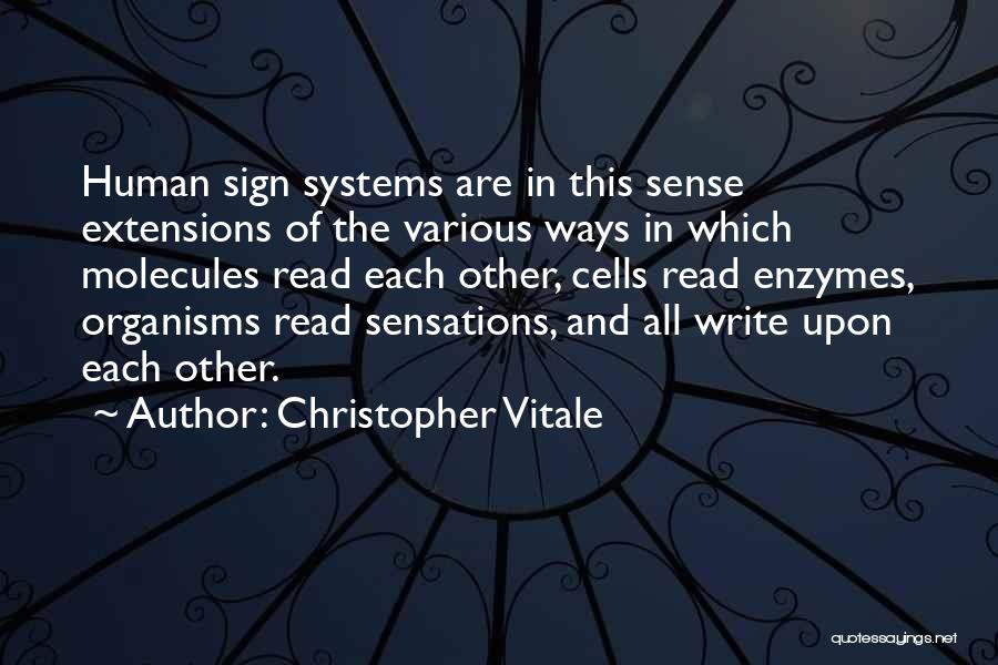 Christopher Vitale Quotes 710585